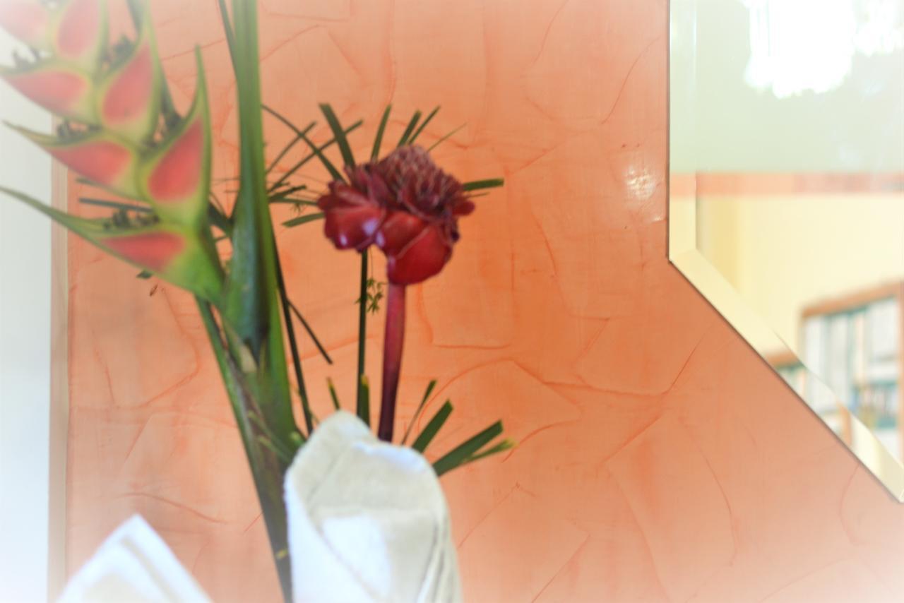 פוסגסוגה Hotel Dorado Real מראה חיצוני תמונה